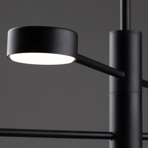 Потолочный светильник Freya FR5363CL-06B фото 8